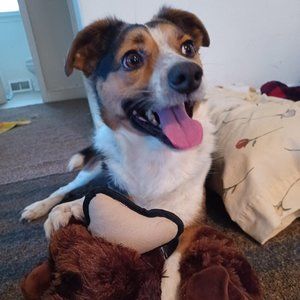 Meet your Posher, Colleen